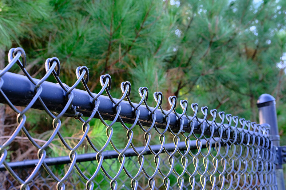 black chain link fence with a pine tree in the background