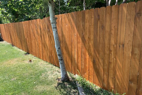picture of privacy fence for home in provo
